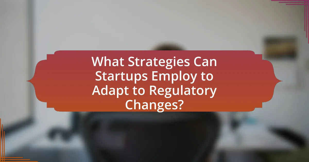 What Strategies Can Startups Employ to Adapt to Regulatory Changes?