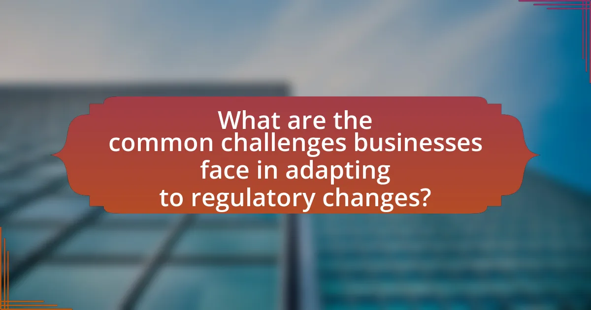 What are the common challenges businesses face in adapting to regulatory changes?