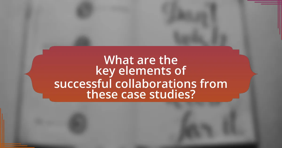 What are the key elements of successful collaborations from these case studies?