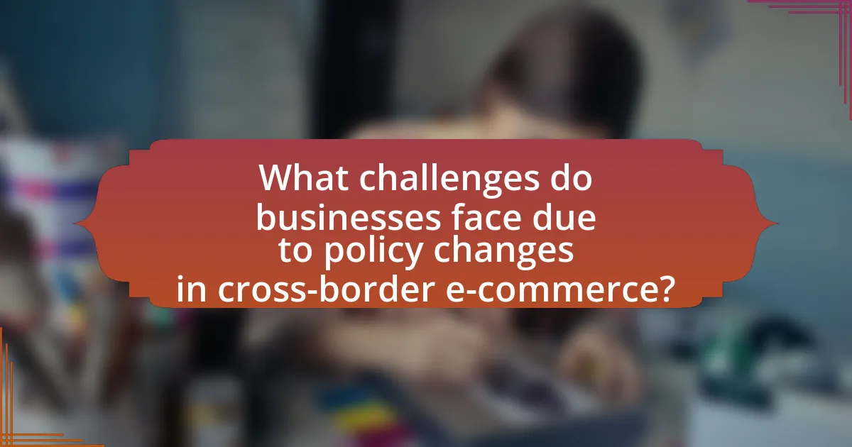 What challenges do businesses face due to policy changes in cross-border e-commerce?