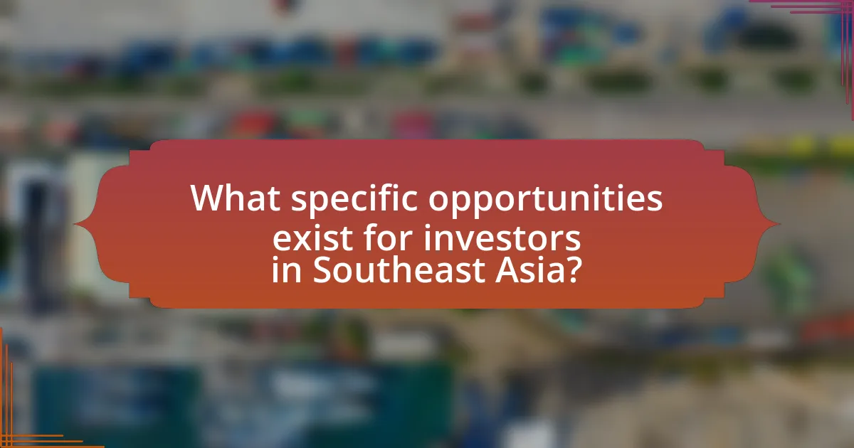 What specific opportunities exist for investors in Southeast Asia?